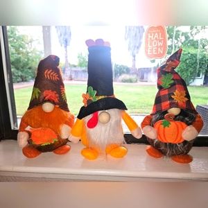 Three Thanksgiving Best Friend Gnomes